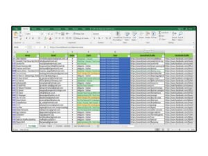 Online, Offline, Excel, Google Spreadsheet Data Entry-1